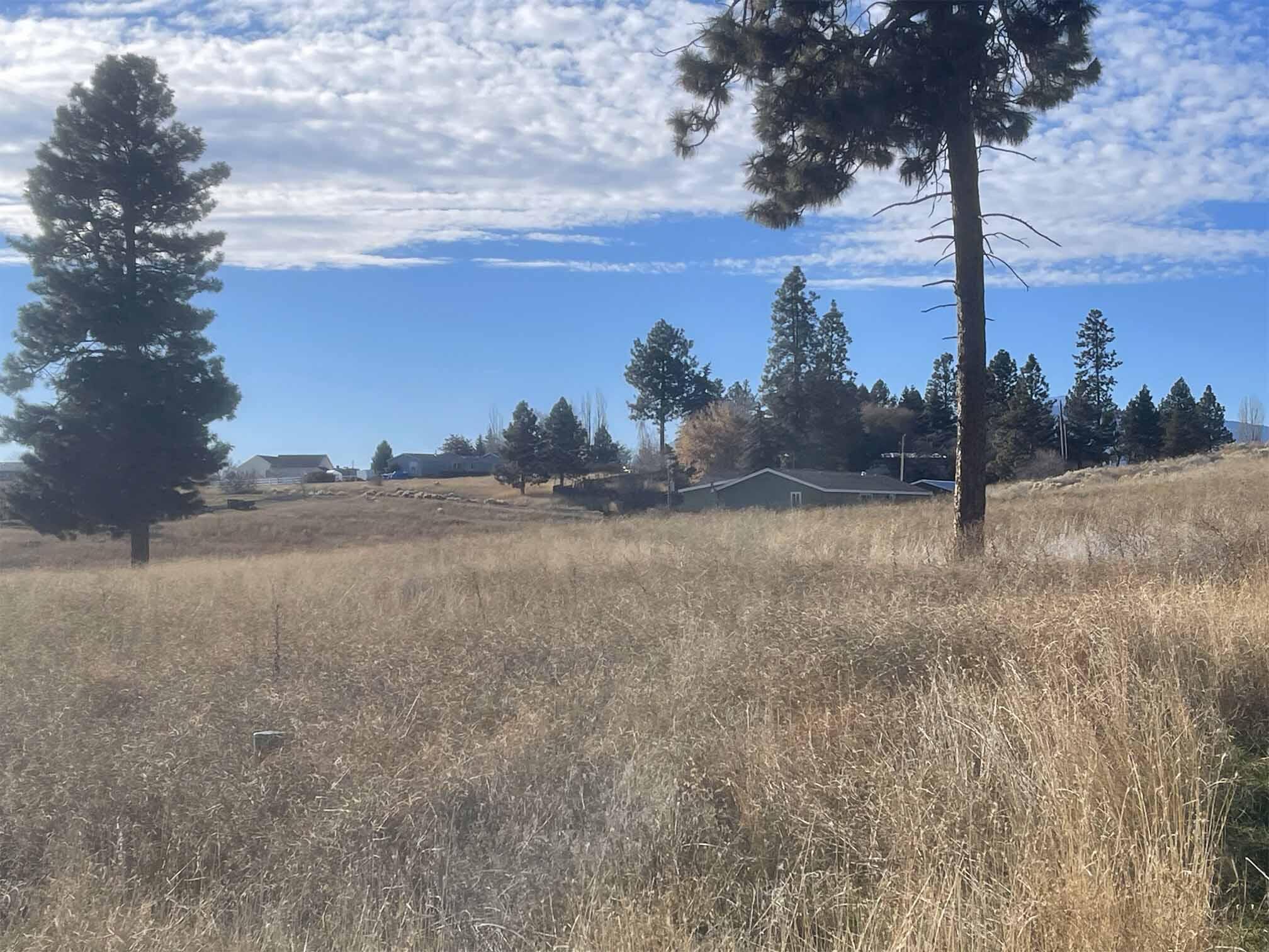 Oregon Shores - Land