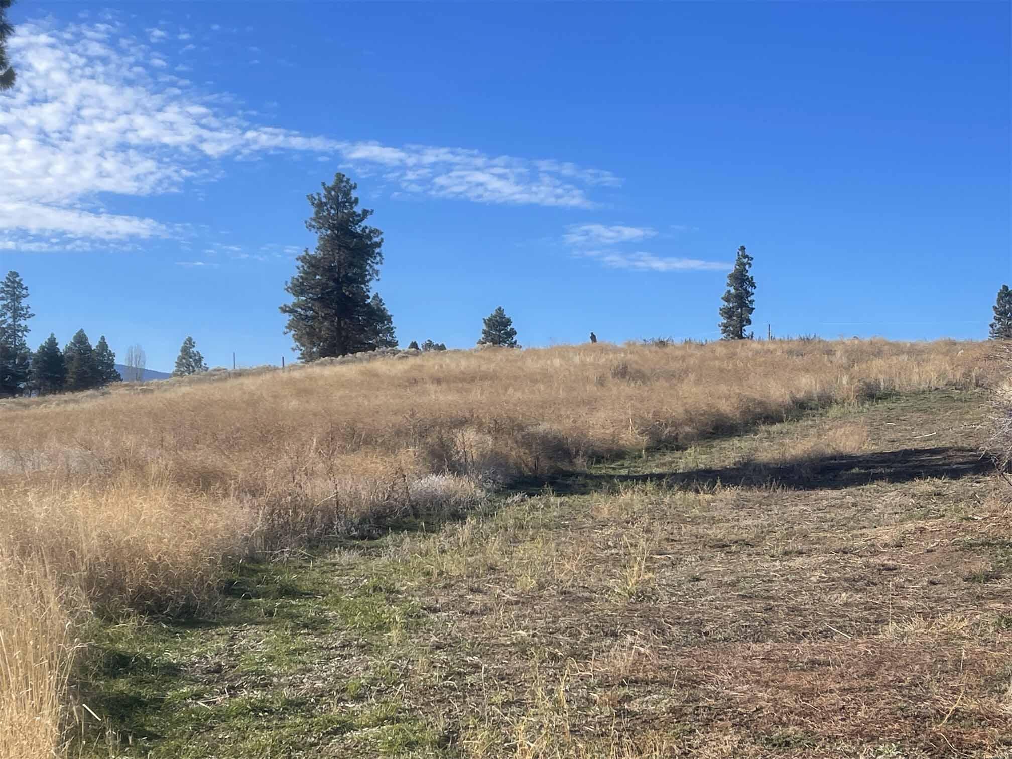 Oregon Shores - Land