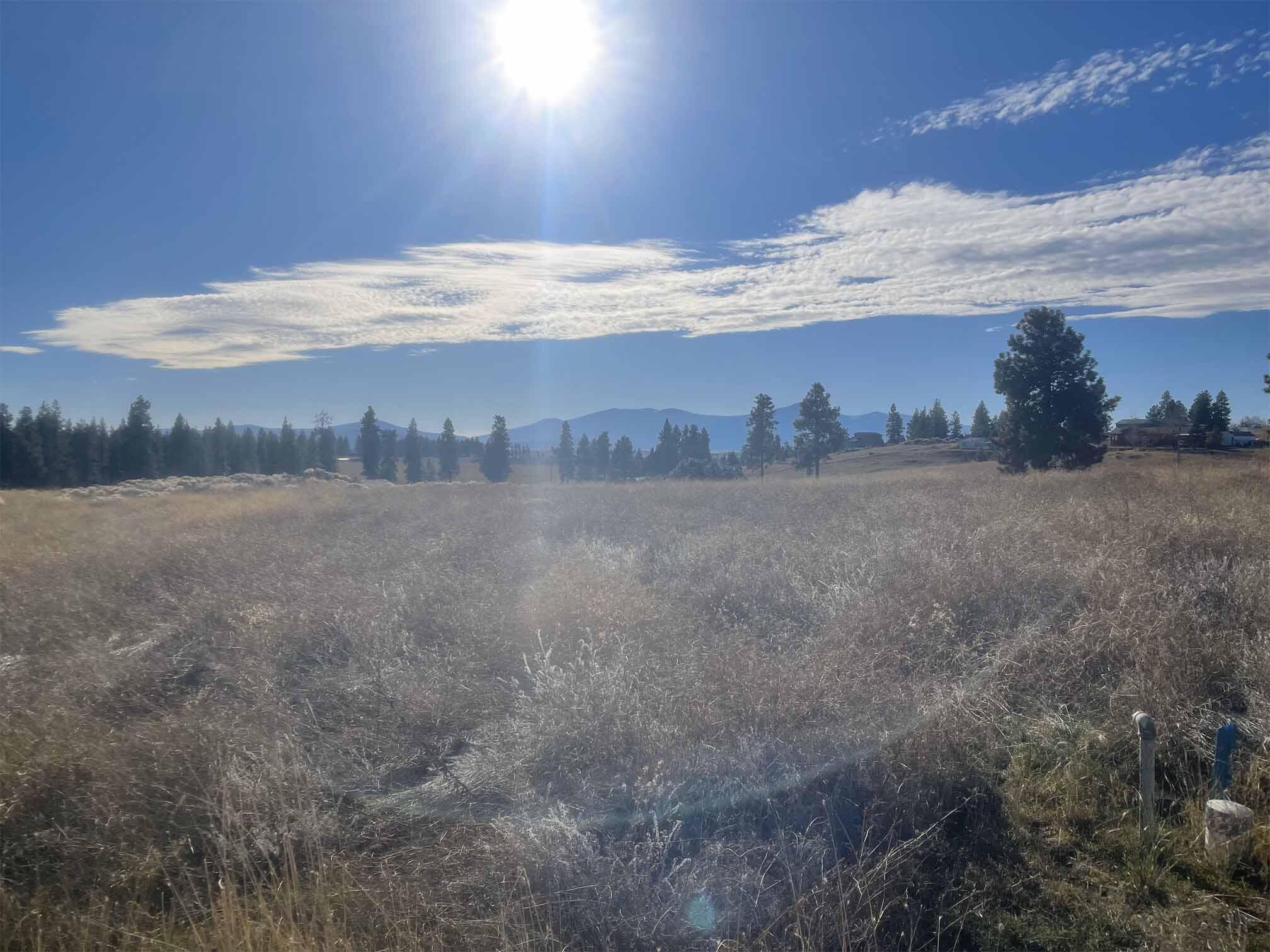 Oregon Shores - Land