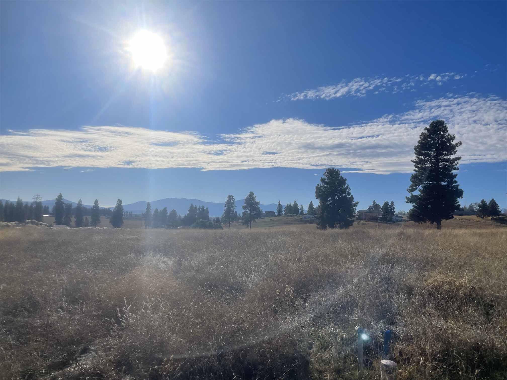 Oregon Shores - Land