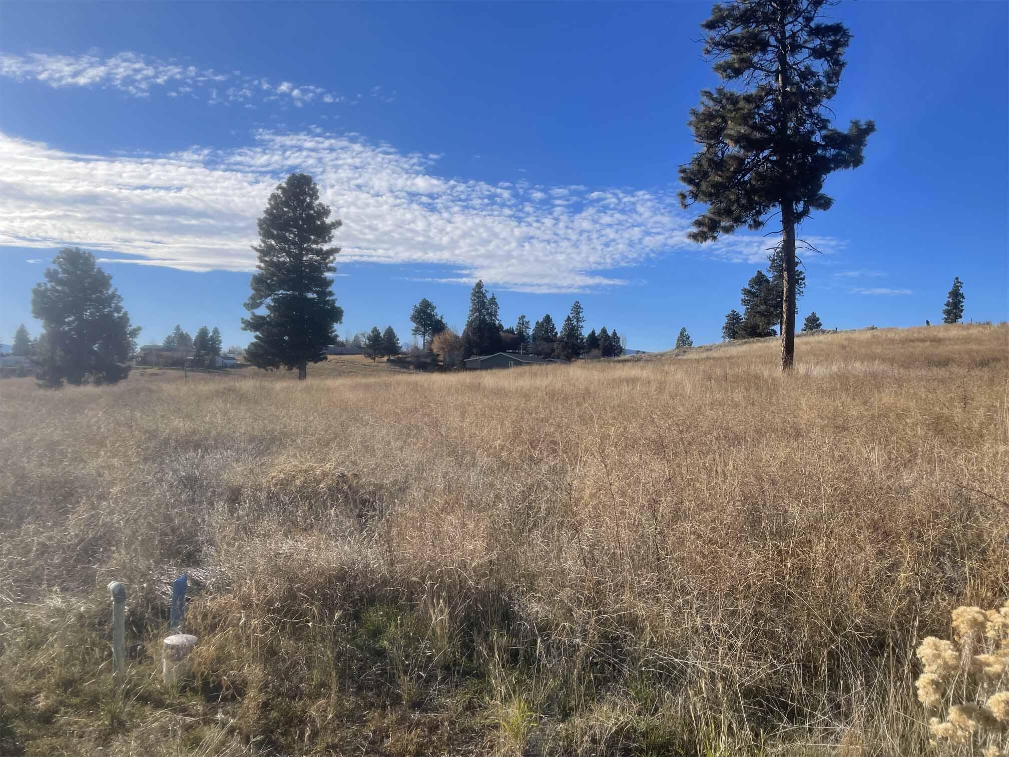 Oregon Shores - Land