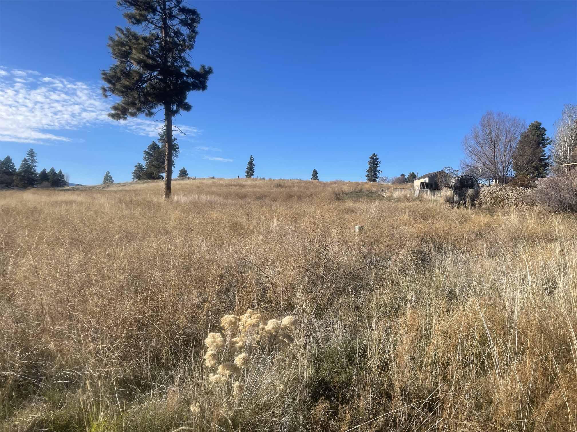 Oregon Shores - Land