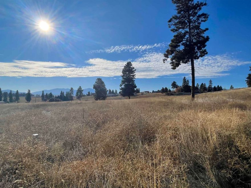 Agency Lake, Chiloquin, Oregon ~ Oregon Shores Subdivision ~ 2 very large (.93 Acres total) and desirable parcels that are situated perfectly in Deerview Ct and these boast nice Agency Lake Views and there is water, power and phone and the road edge. These have a couple of large mature Ponderosa Pine Trees too. It is all here!!
The seller will Owner Carry.