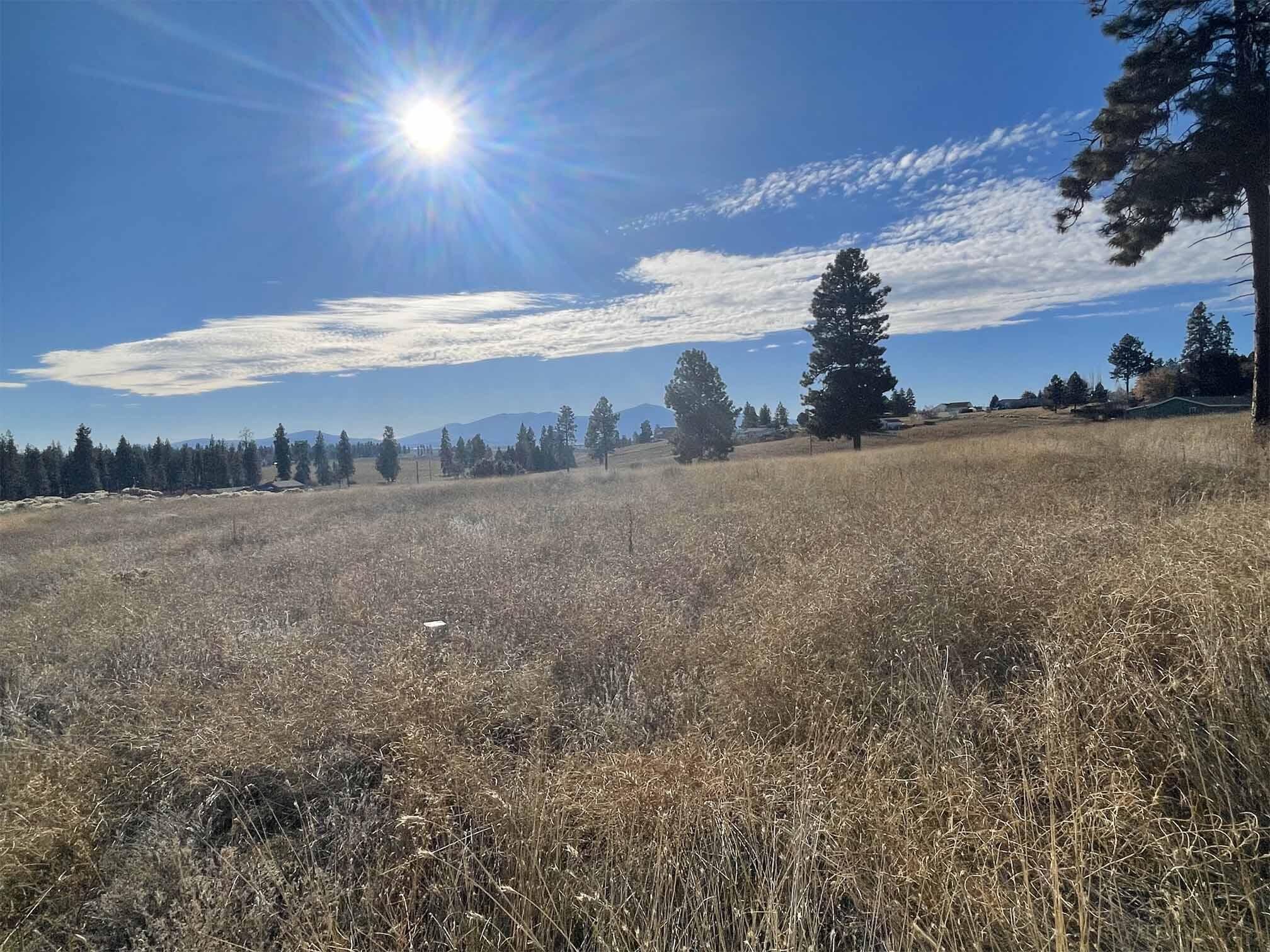 Oregon Shores - Land