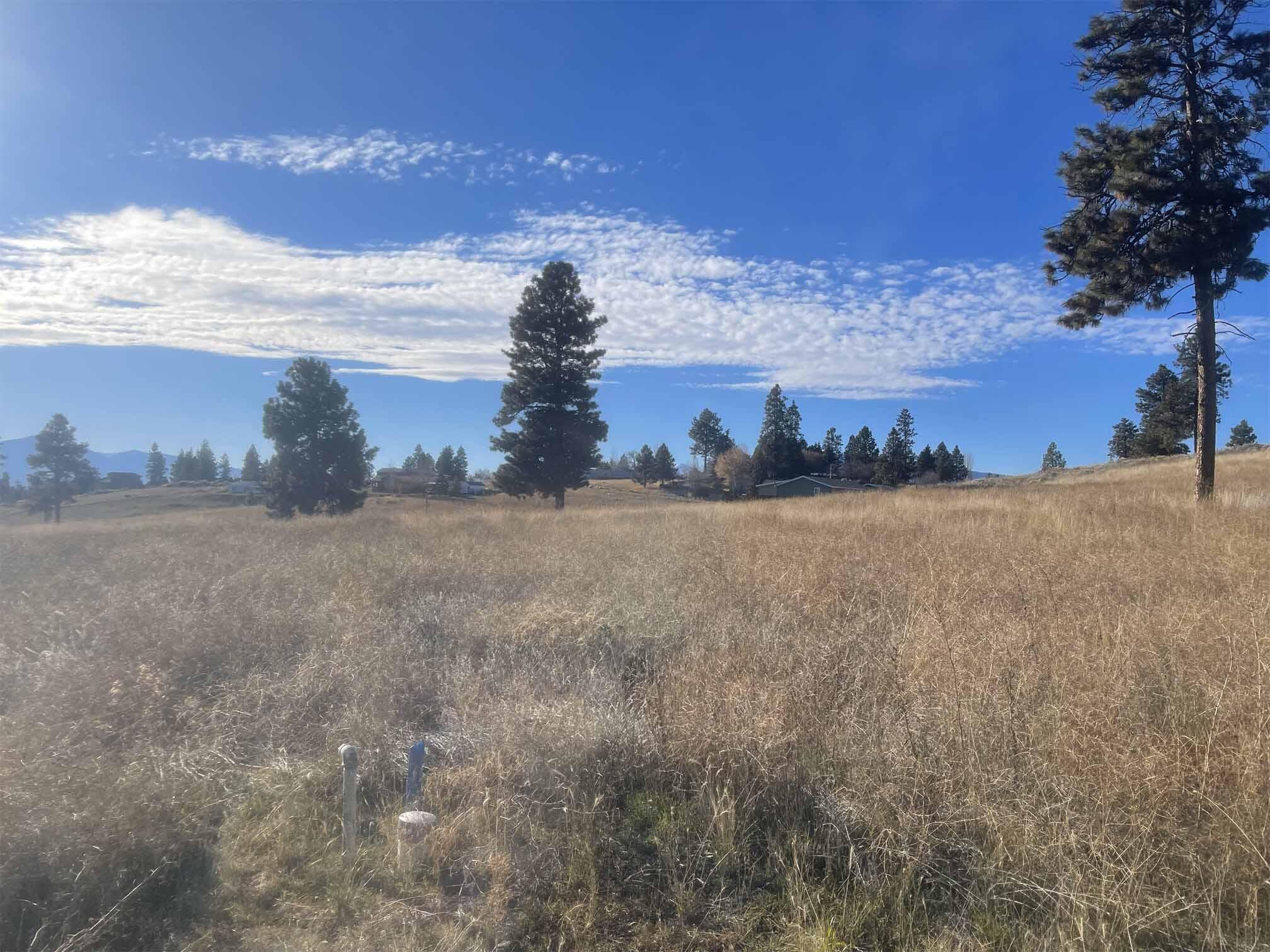 Oregon Shores - Land