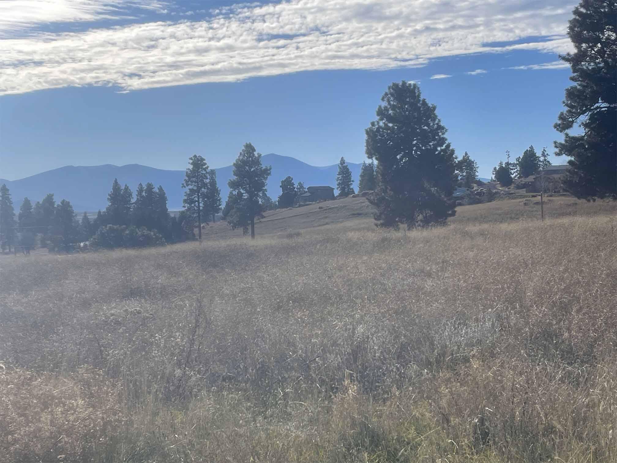 Oregon Shores - Land