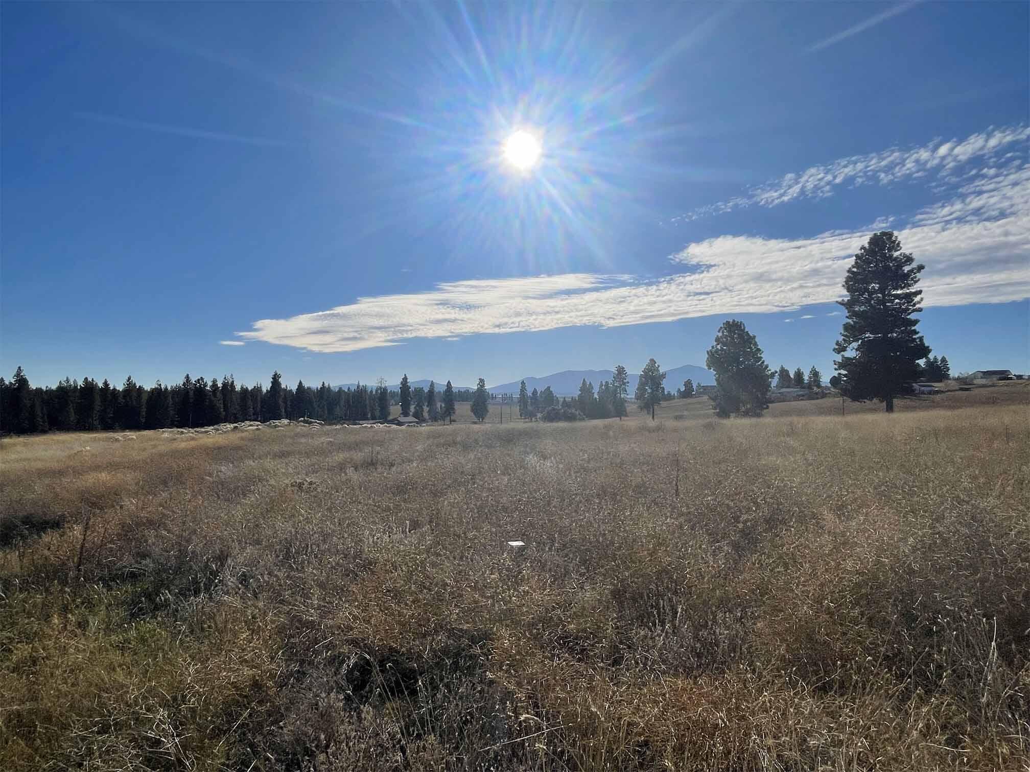 Oregon Shores - Land