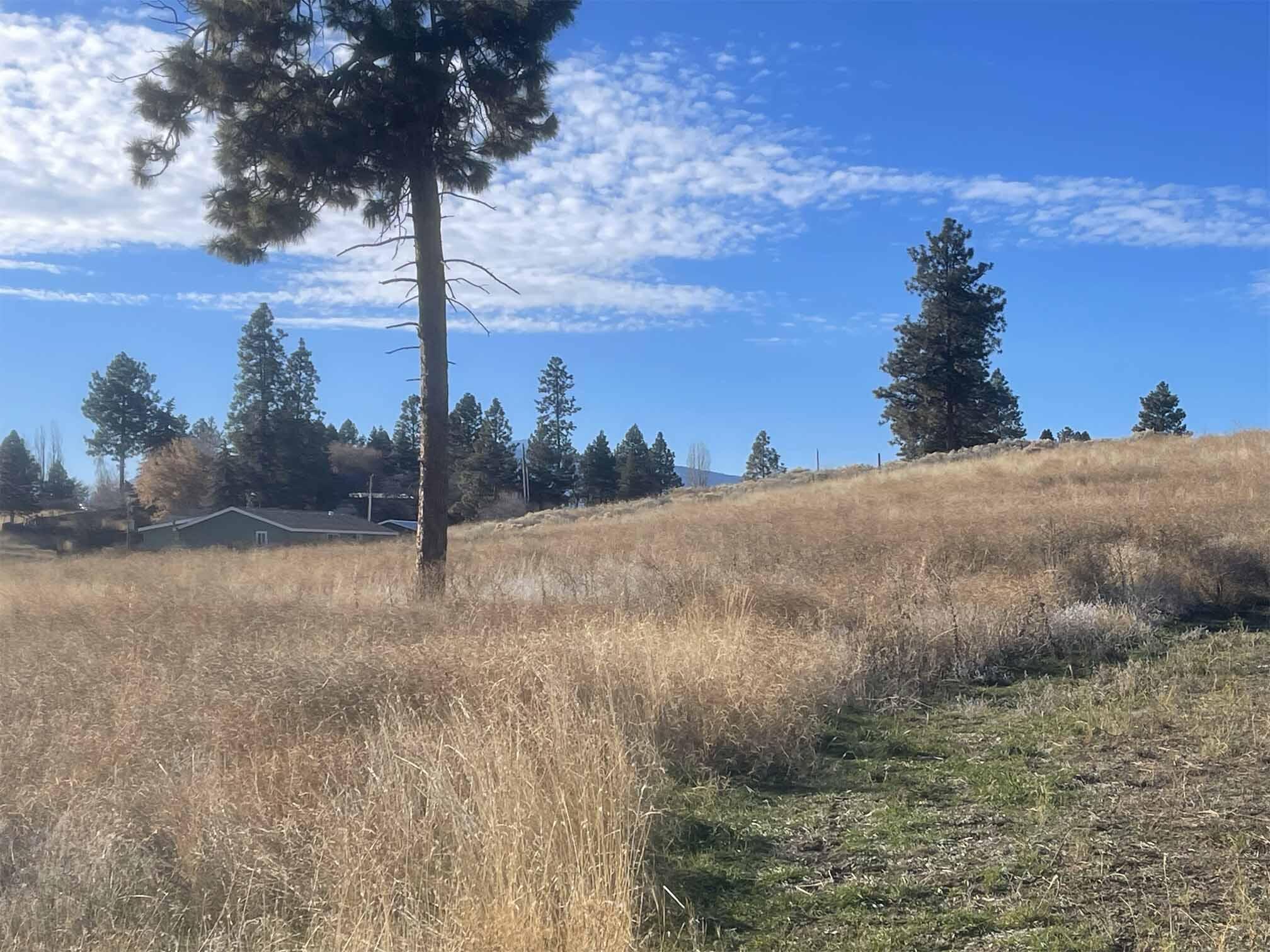 Oregon Shores - Land