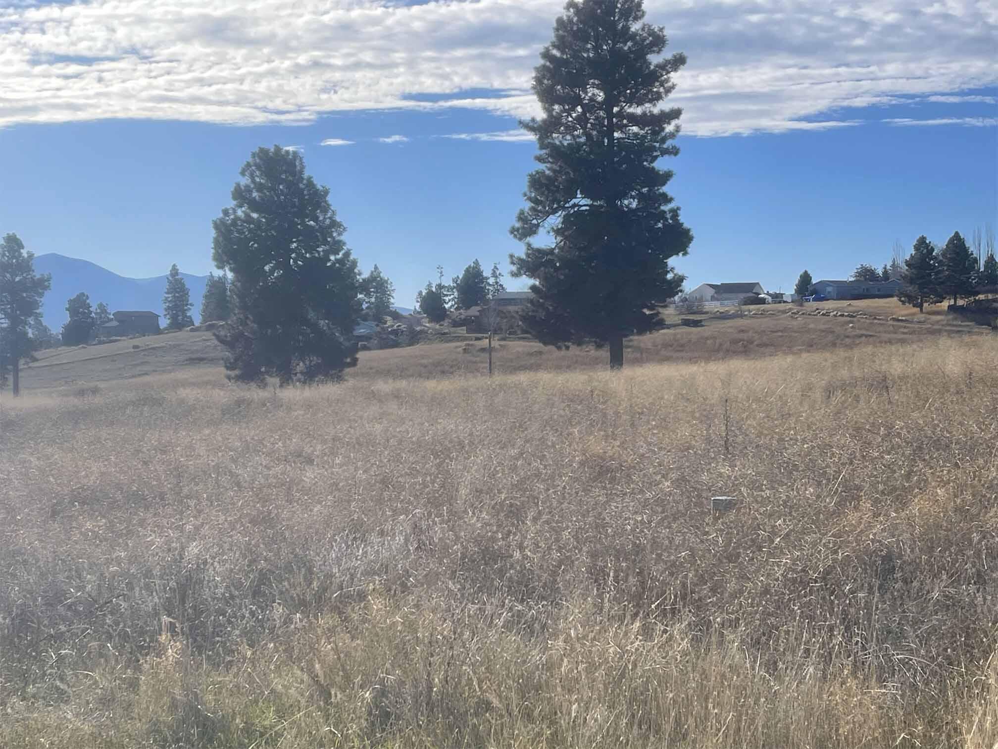 Oregon Shores - Land