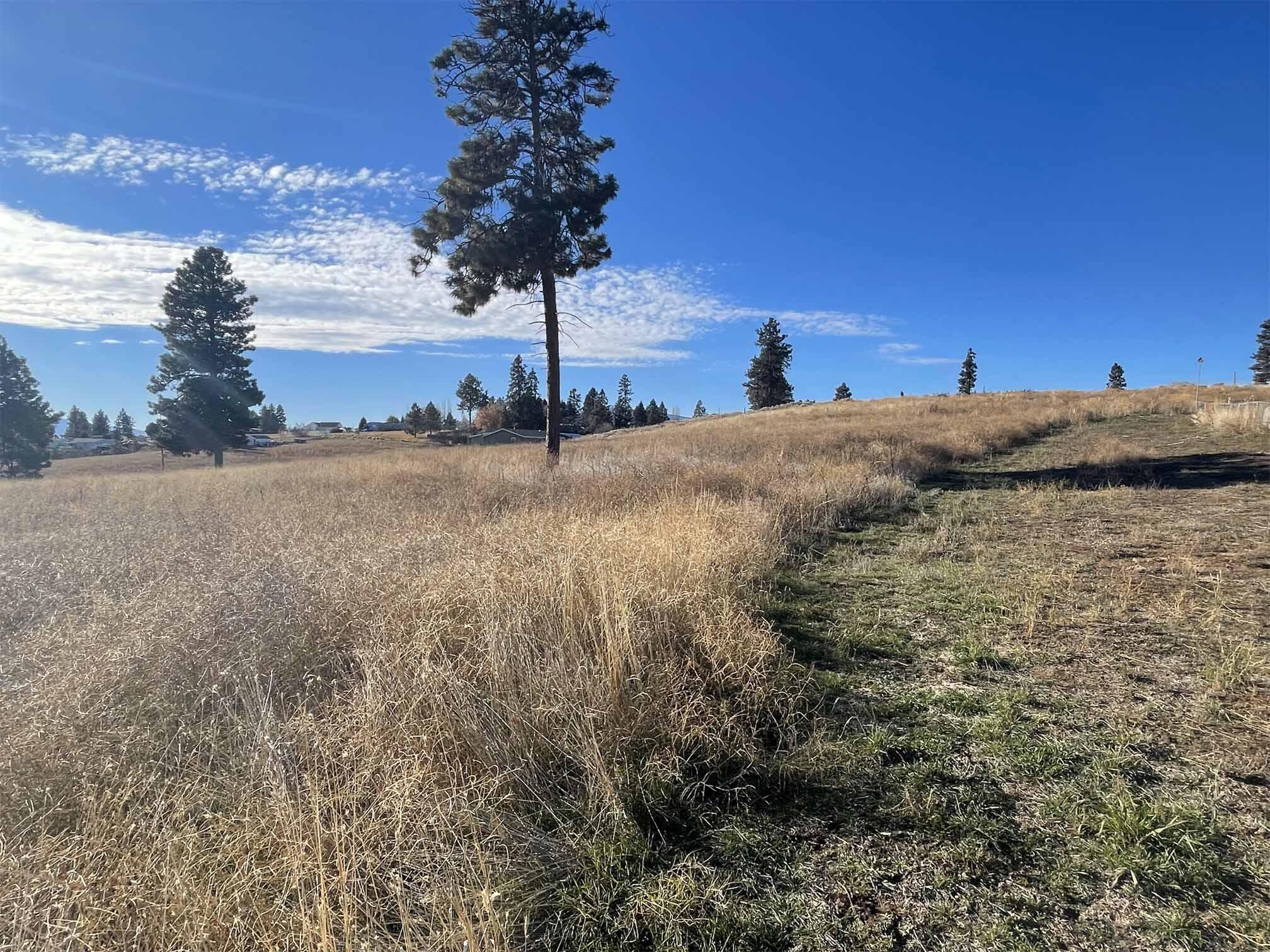 Oregon Shores - Land