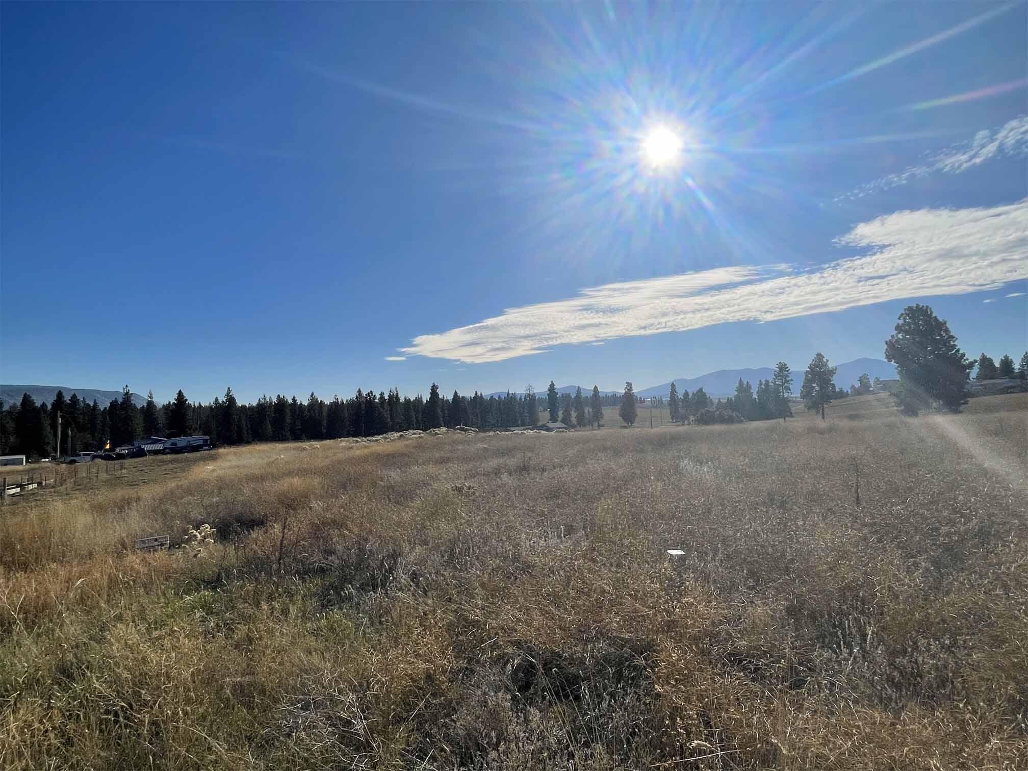 Oregon Shores - Land