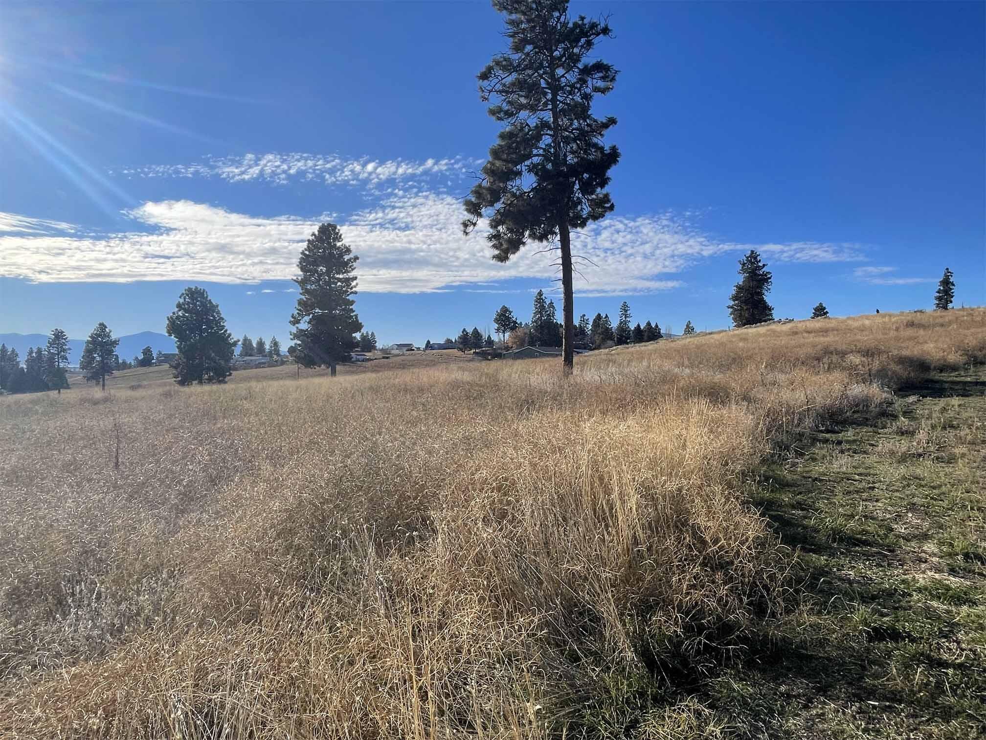 Oregon Shores - Land