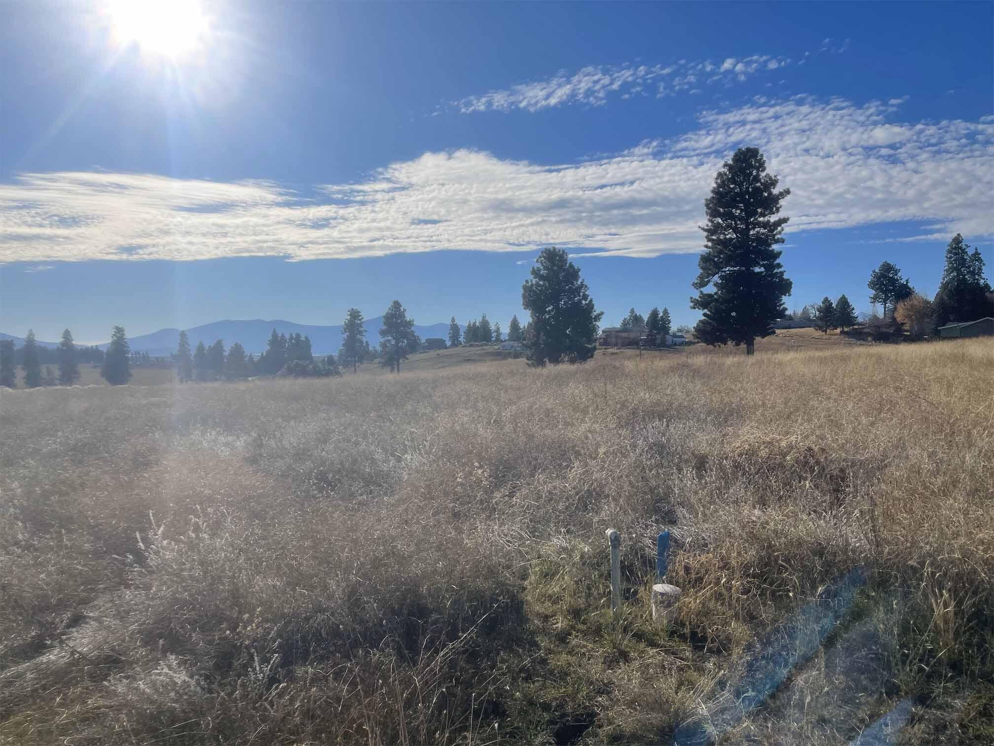 Oregon Shores - Land