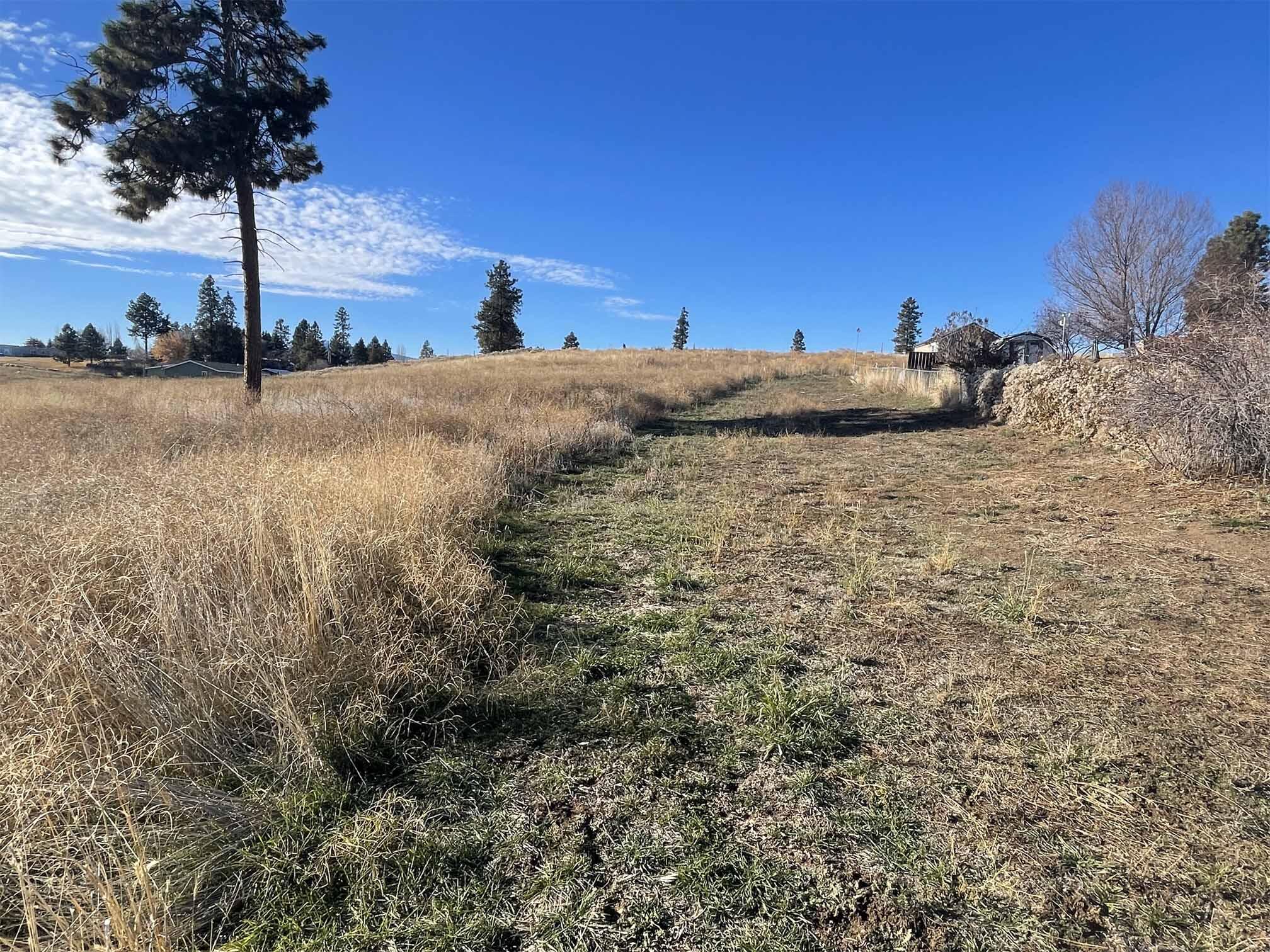 Oregon Shores - Land