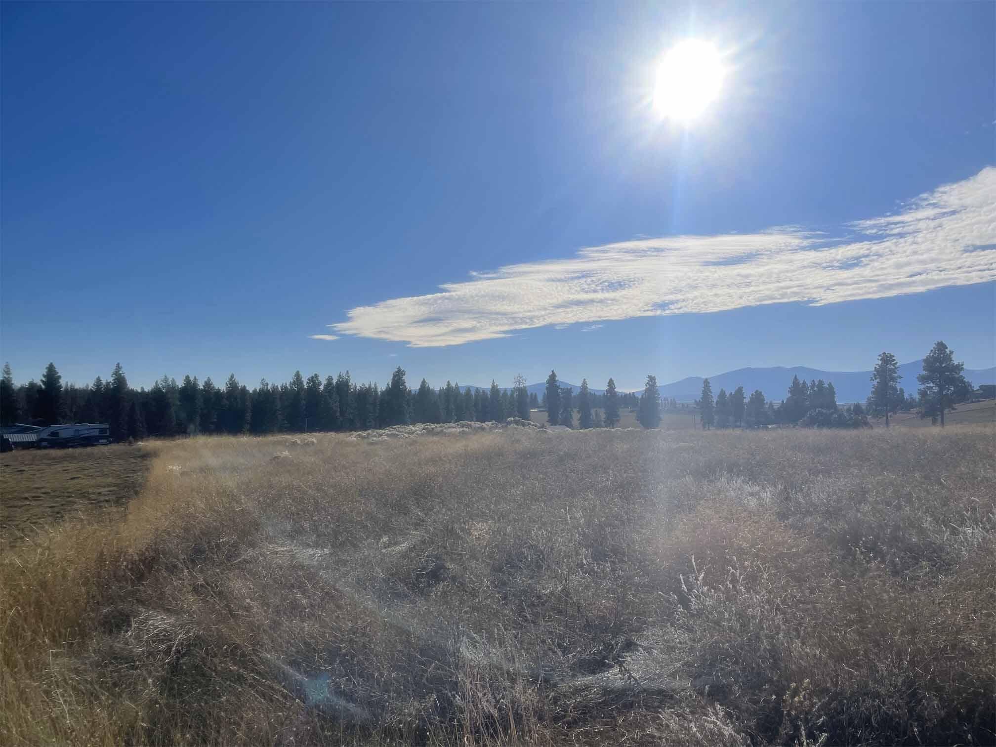 Oregon Shores - Land