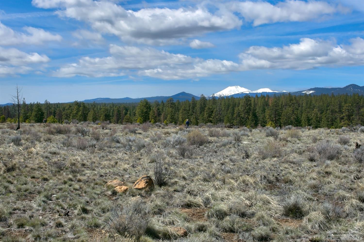 Shevlin Commons - Residential