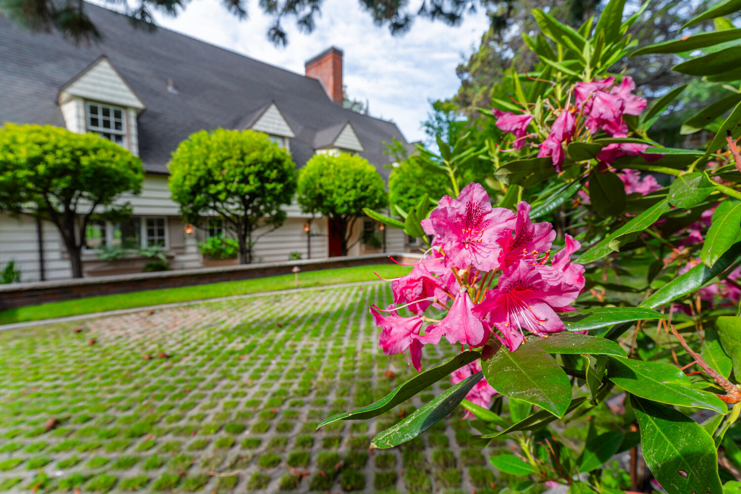 Pinelyn Park - Residential