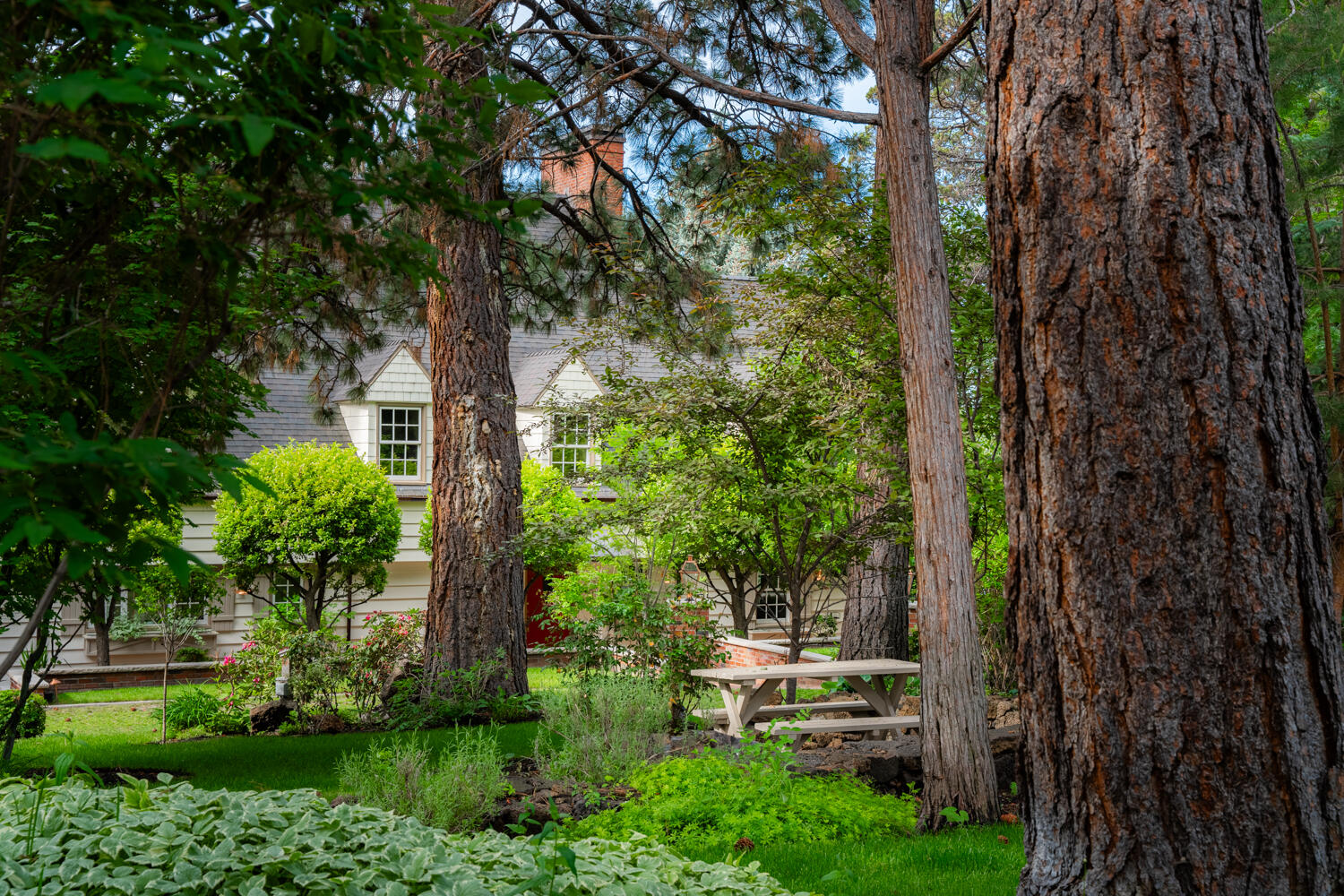 Pinelyn Park - Residential