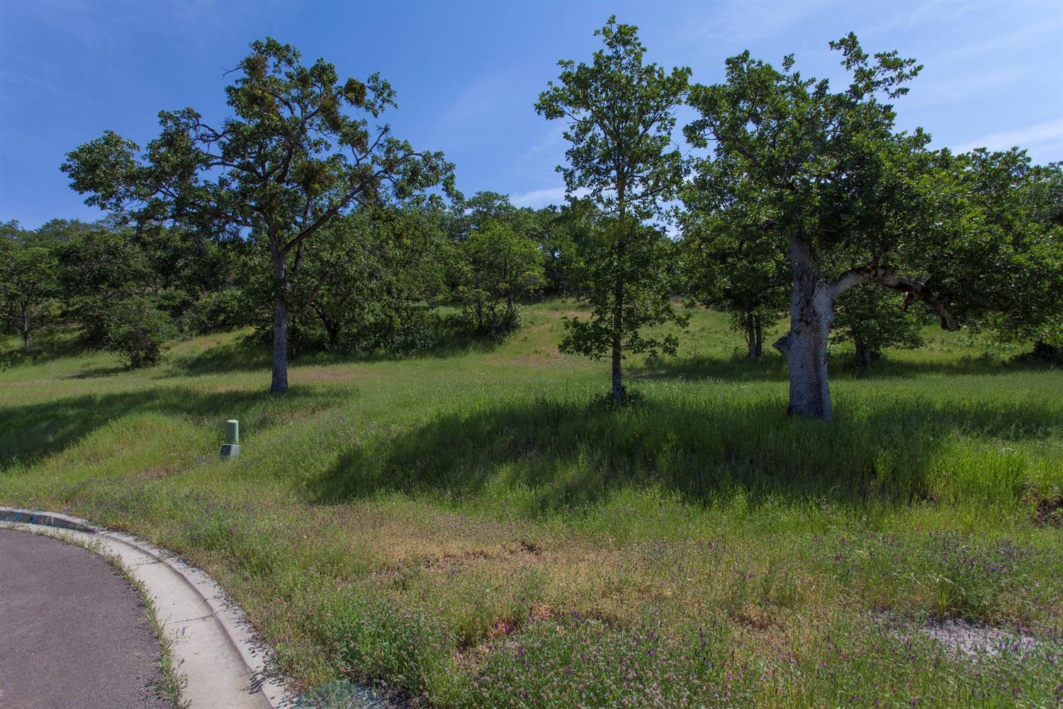 Eagle Ridge Estates - Land