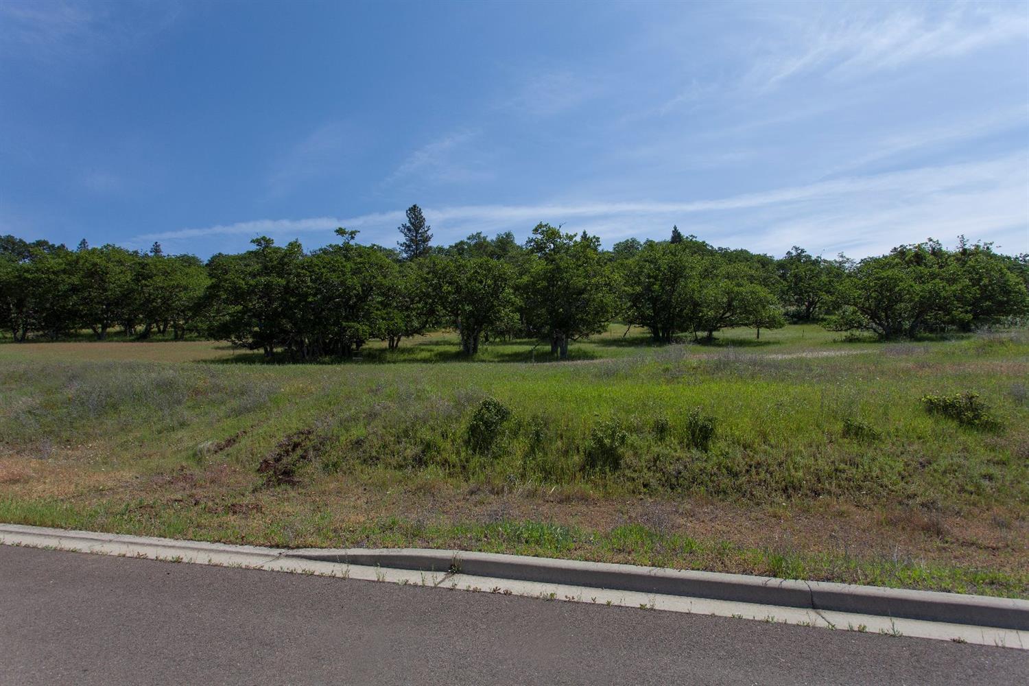 Eagle Ridge Estates - Land