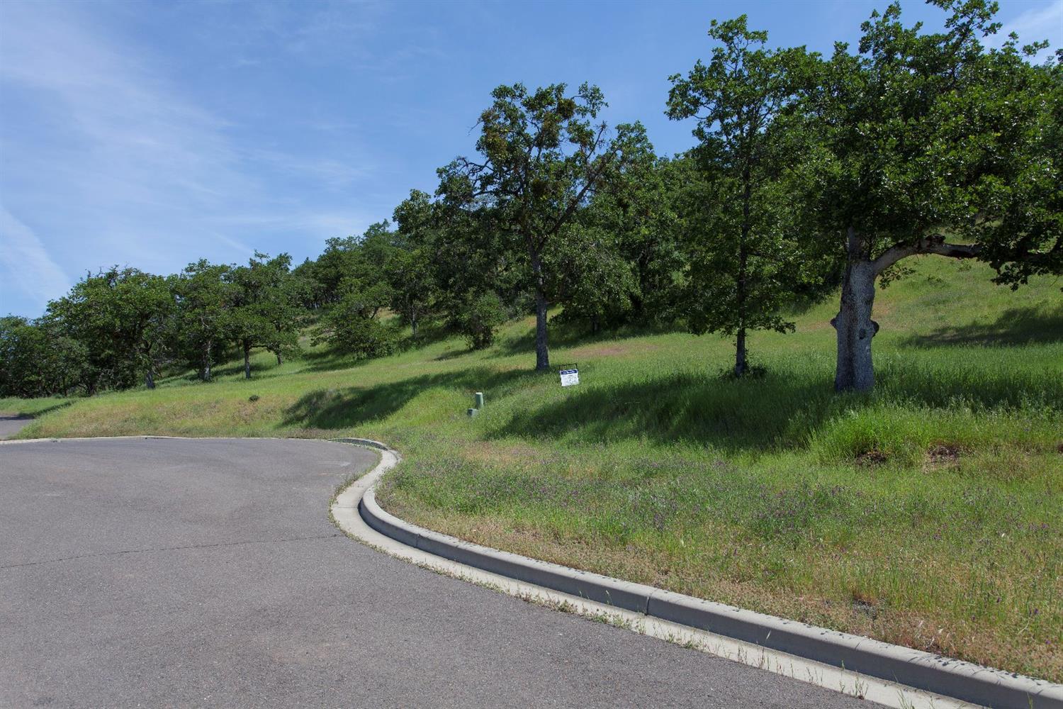 Eagle Ridge Estates - Land