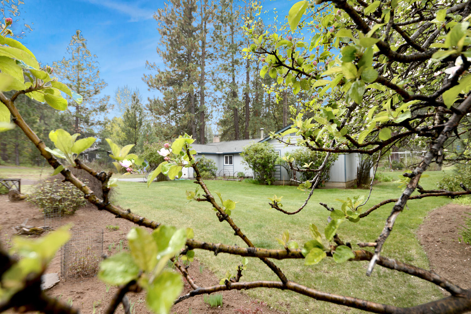 Deschutes RiverWoods - Residential