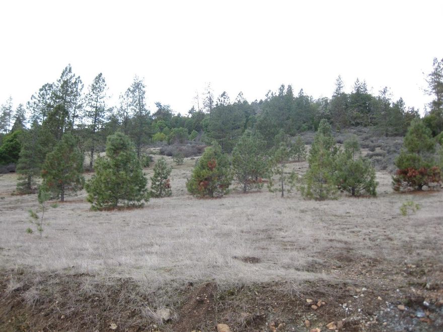 An Outstanding piece of property ideally suited for a private home. Overlooking green hills and mountain peaks. BLM backs up against the rear of the lot. Quiet Cul-de-sac with fantastic views, seasonal spring, paved road, shared well rated at 19.5 gpm. Only 5 minutes to town!