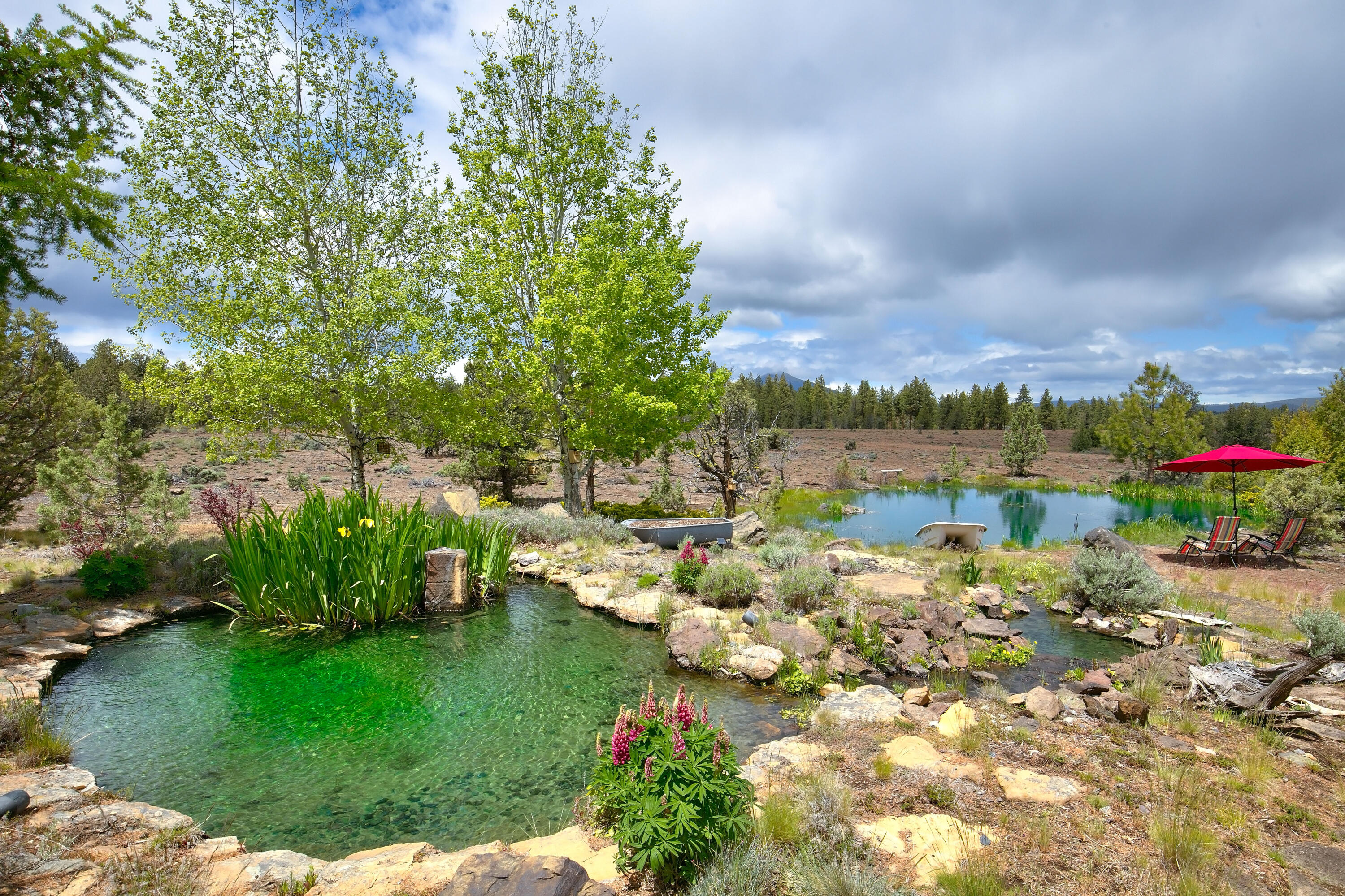 Wild Horse Ridge - Residential