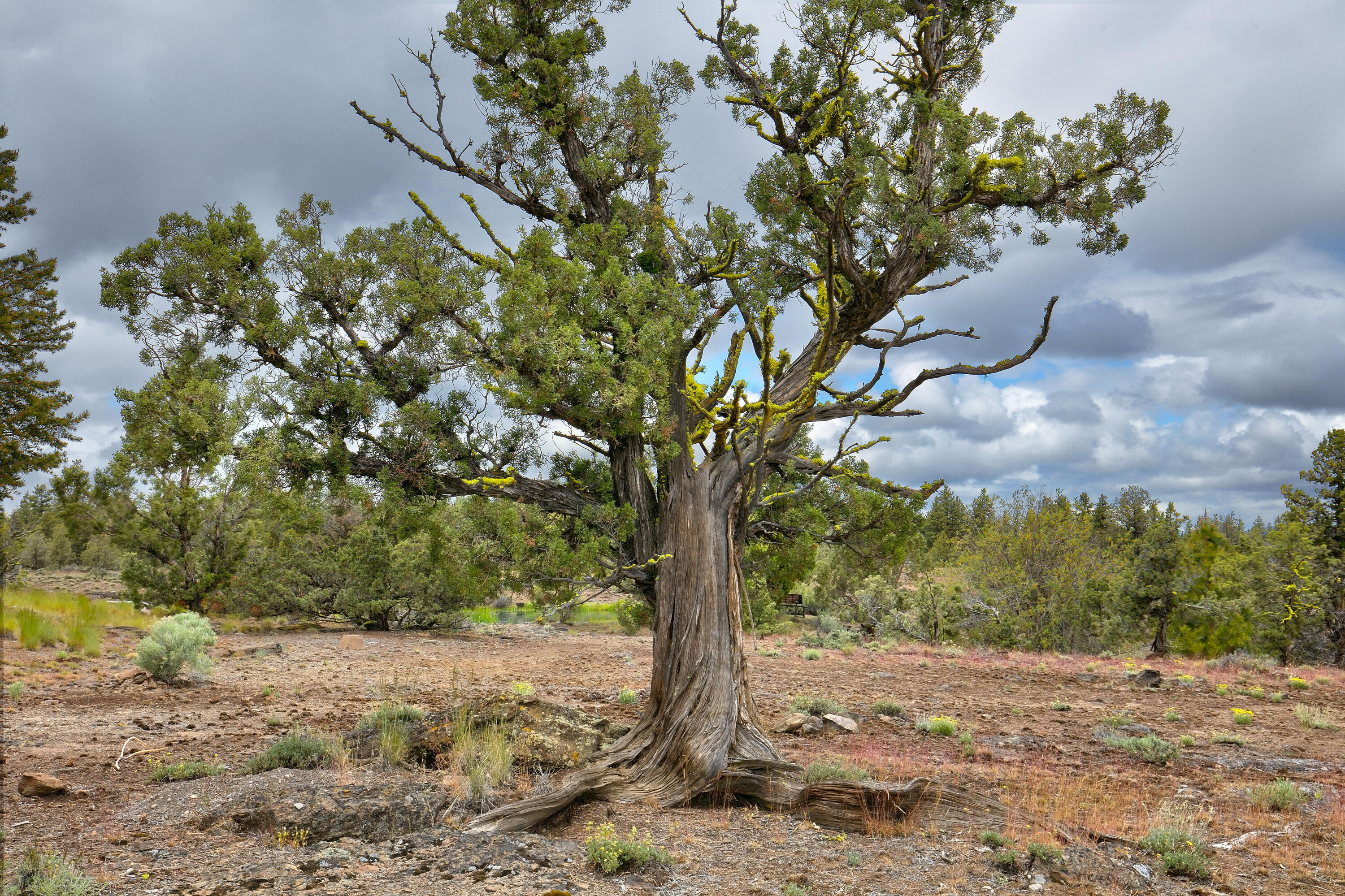 Wild Horse Ridge - Residential