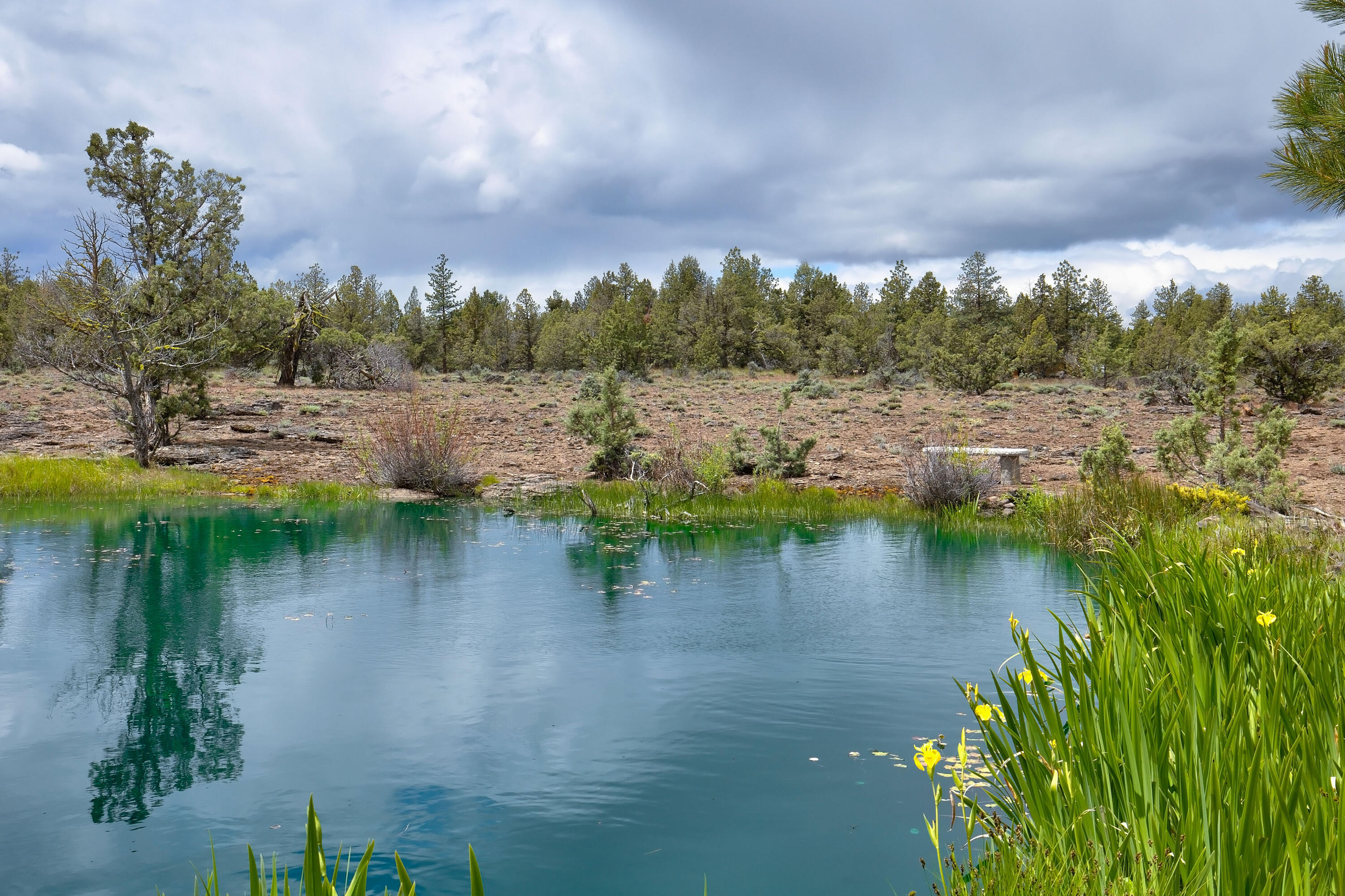 Wild Horse Ridge - Residential