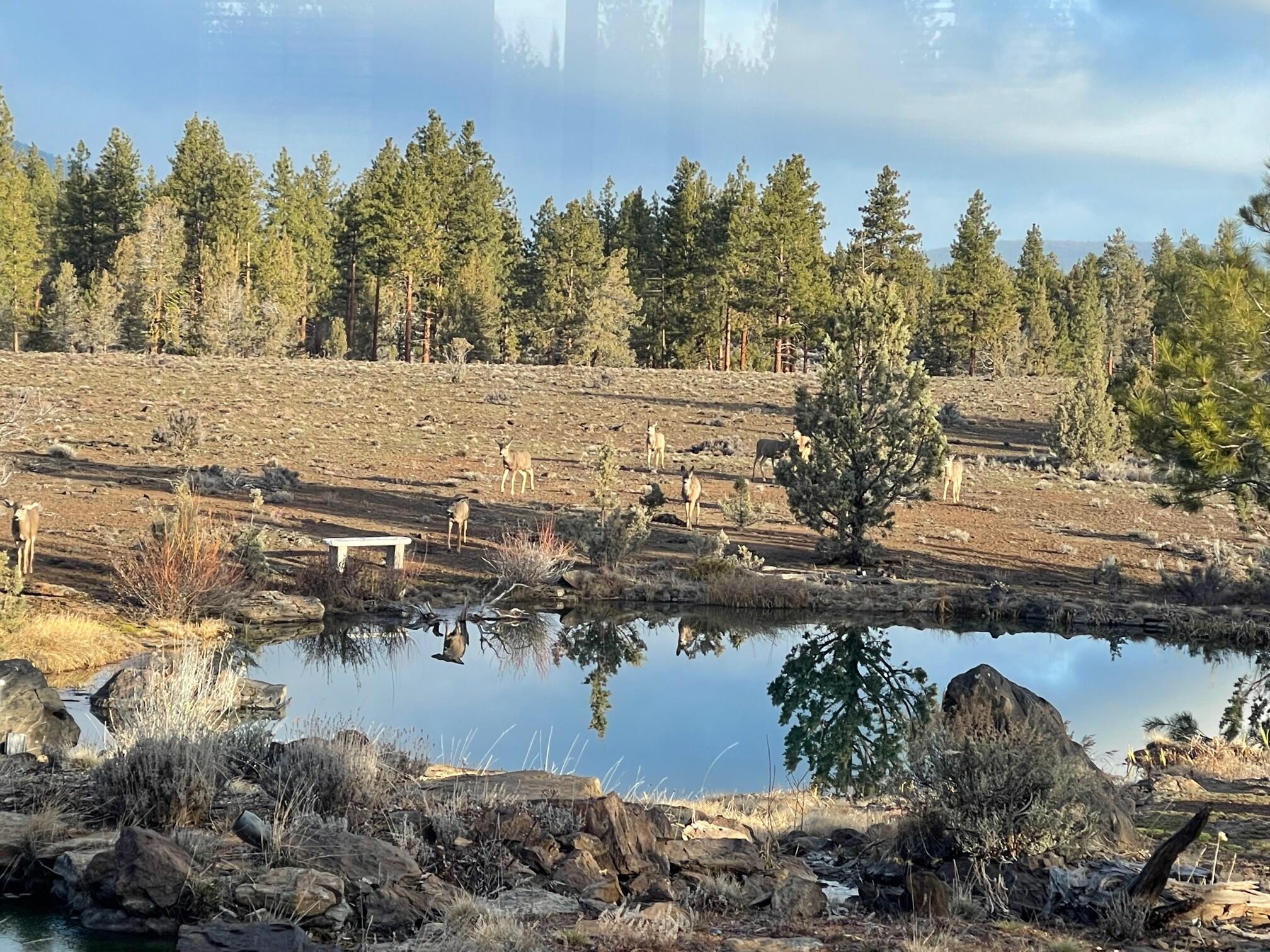 Wild Horse Ridge - Residential