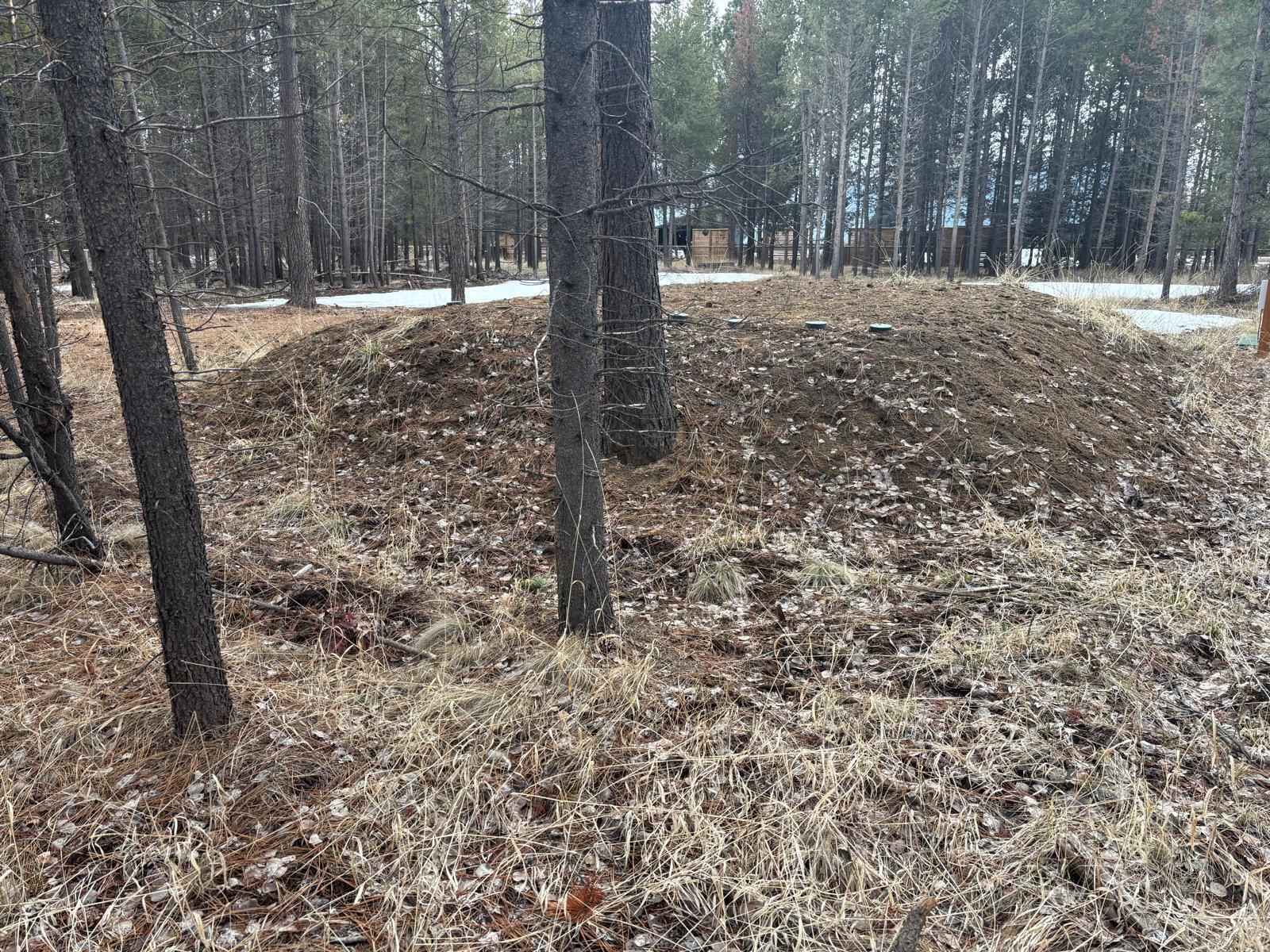 17115 Spring River Road