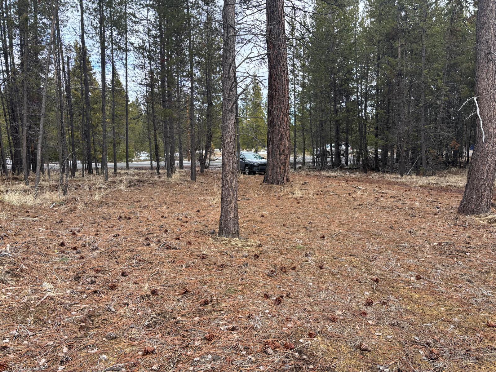 17115 Spring River Road