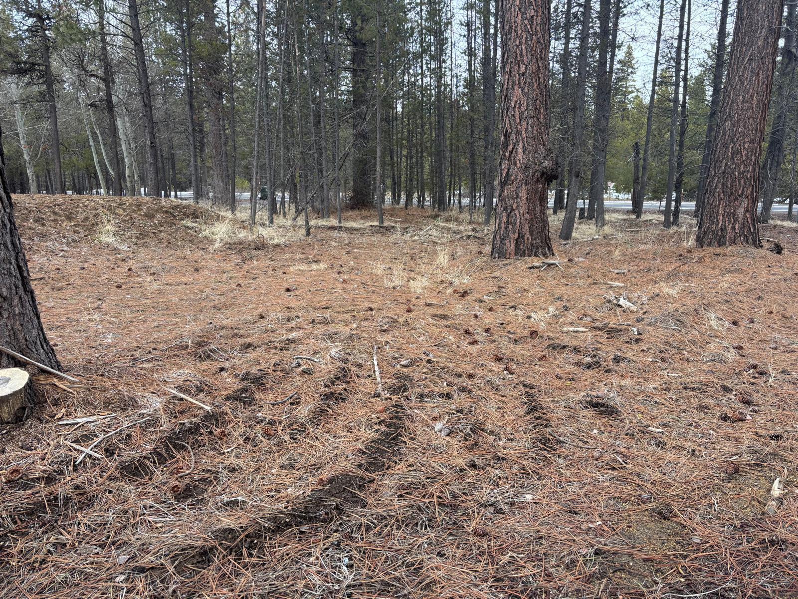 17115 Spring River Road