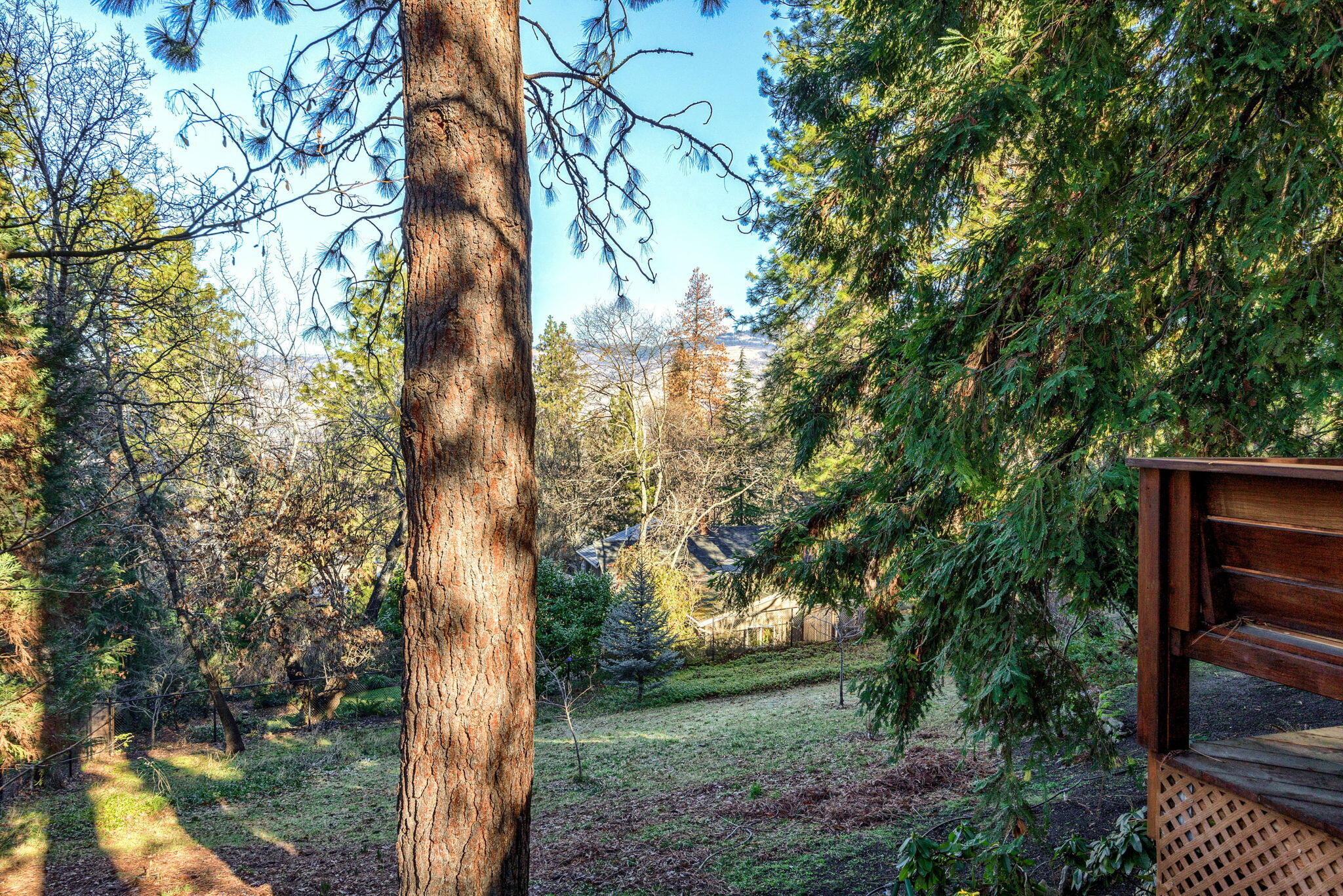 University Terrace Subdivision - Residential