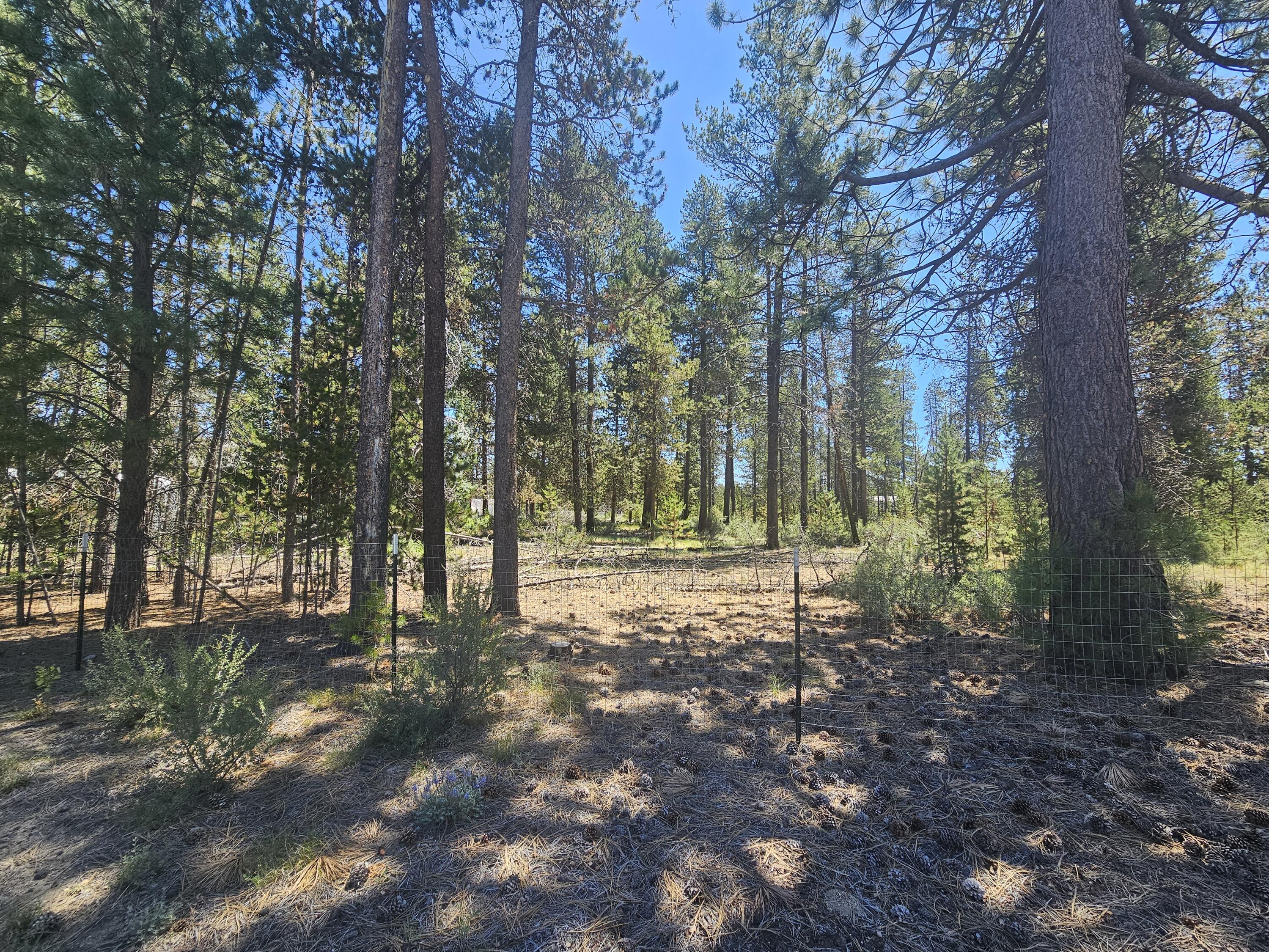 River Pine Estates - Land