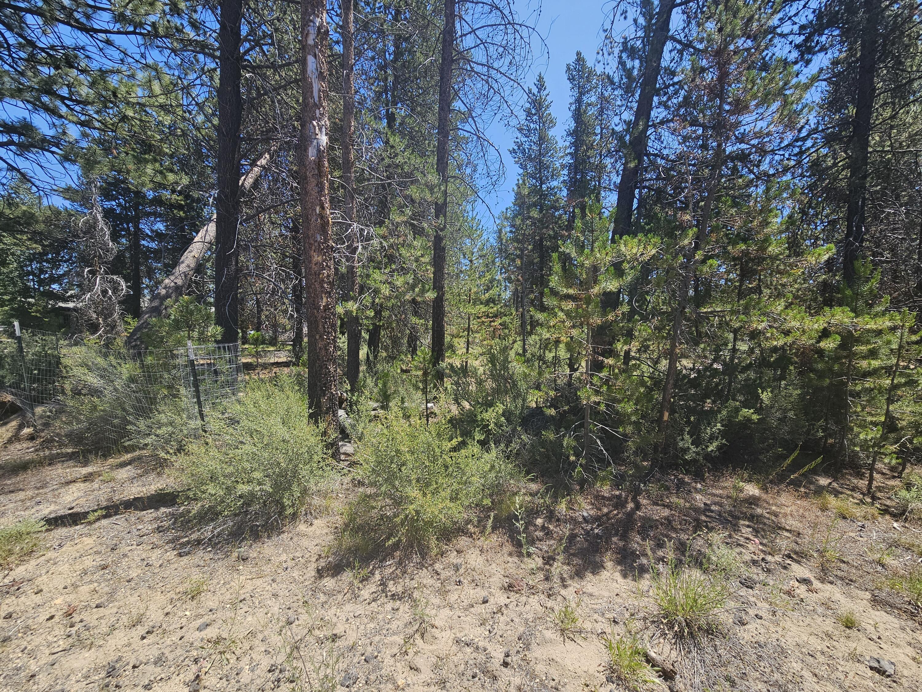 River Pine Estates - Land