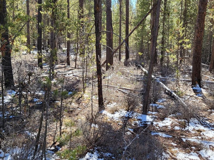 It could be a beautiful piece of property with end of the road privacy. Located in an area where there is pride of ownership, I know they would be thrilled if it were tidied up a bit. Its wood debris but there is alot of it. Maybe able to make some dough on firewood. It is the last piece and butts up to open land with the Little Deschutes just beyond that so if you are looking for semi rural with that rural feel this is it!