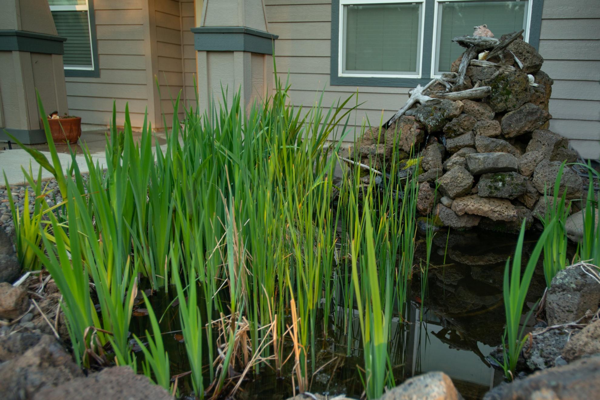 River Rim - Residential