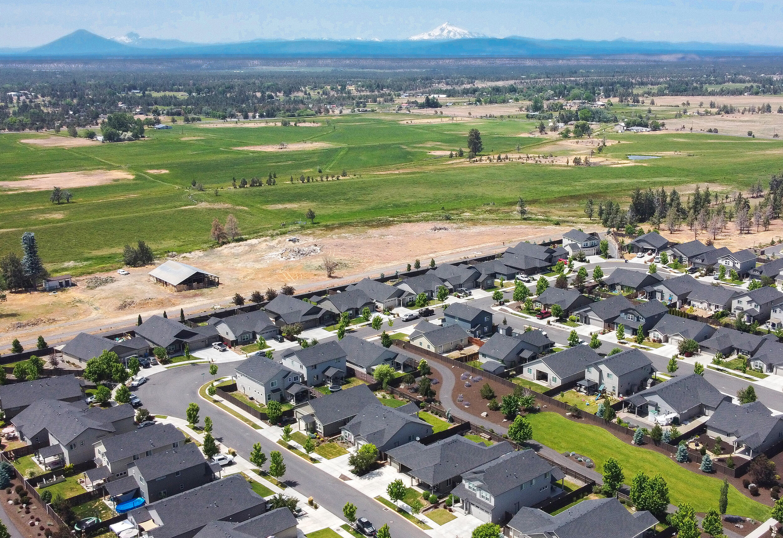 Maple Meadows - Residential