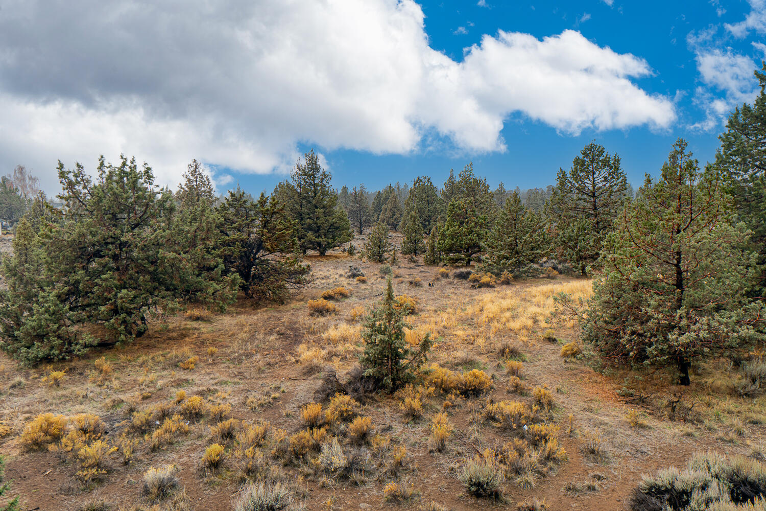 Crestridge Estate - Residential