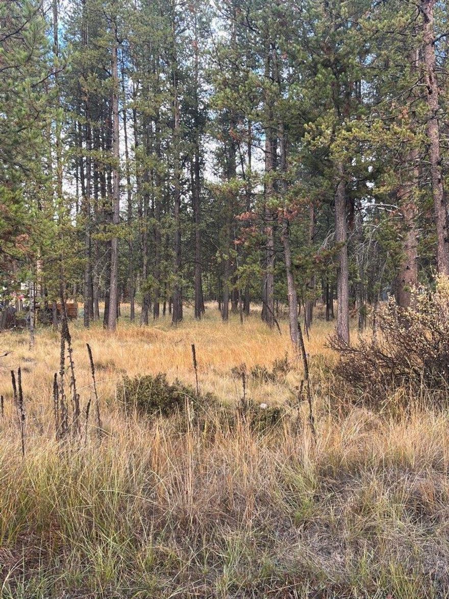 Priced to move! Affordable, excellent opportunity to build a shop or use for camping. As the crow flies this vacant parcel is located just a half mile from Leona Park, offering convenient river access for floating and swimming the little Deschutes. La Pine city center is only 3.6 miles away. This level lot has been thinned in the past and is very accessible.