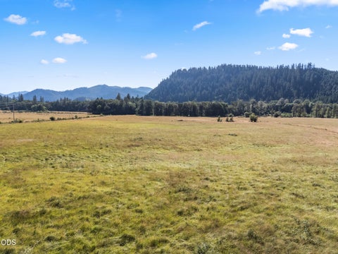 Tiny photo for 706 Creek Road, Azalea, OR 97410 (MLS # 220224415)