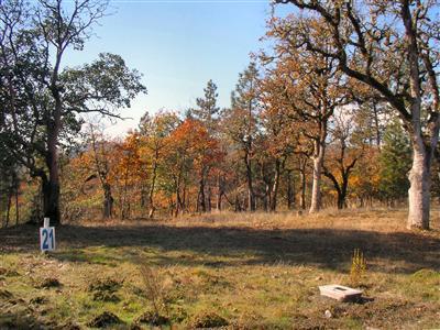 White Oak Ridge - Land