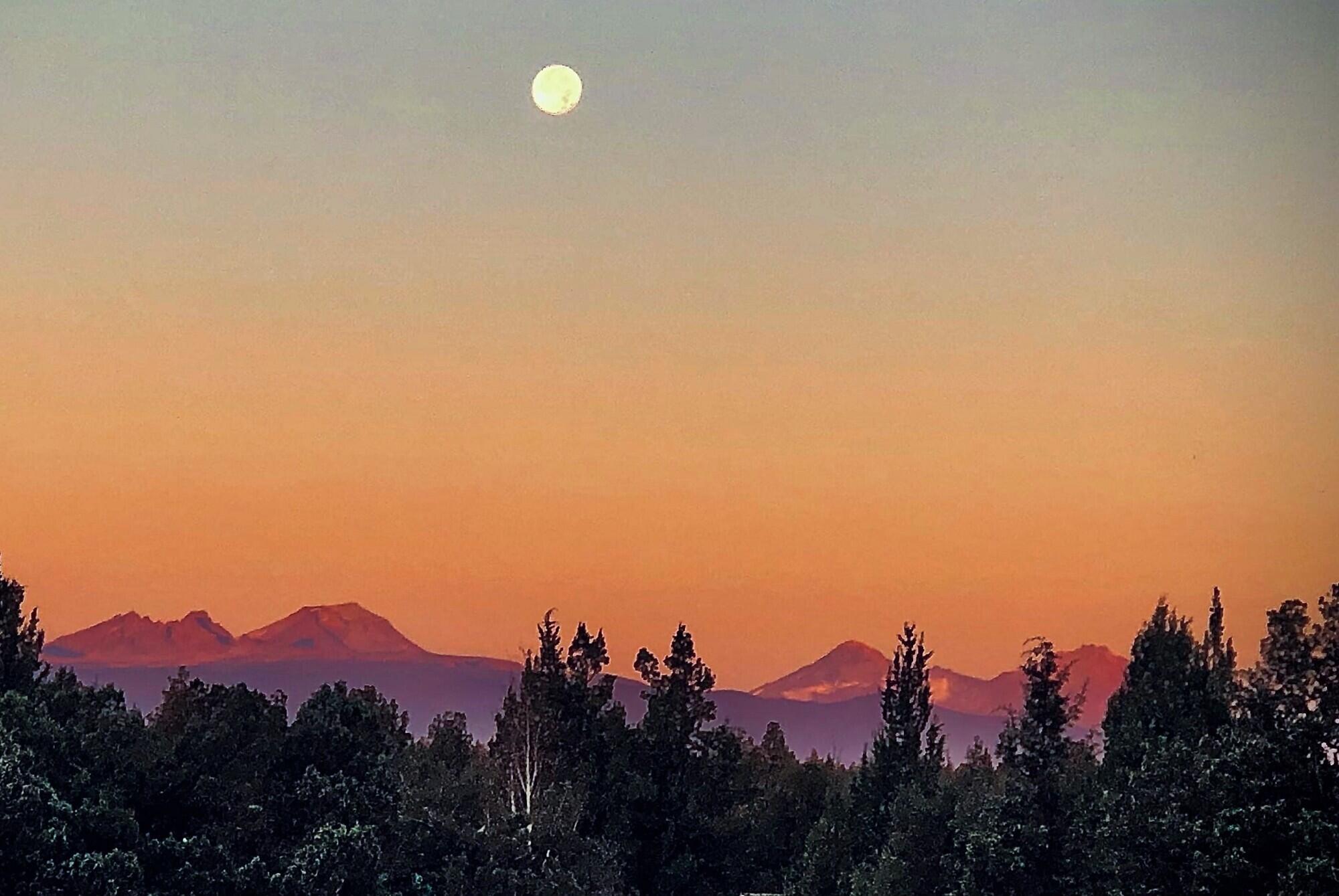 McElroy Estates - Residential