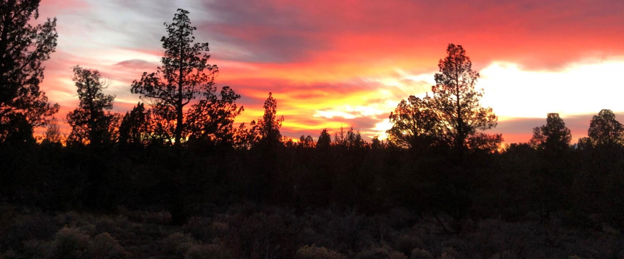 McElroy Estates - Residential