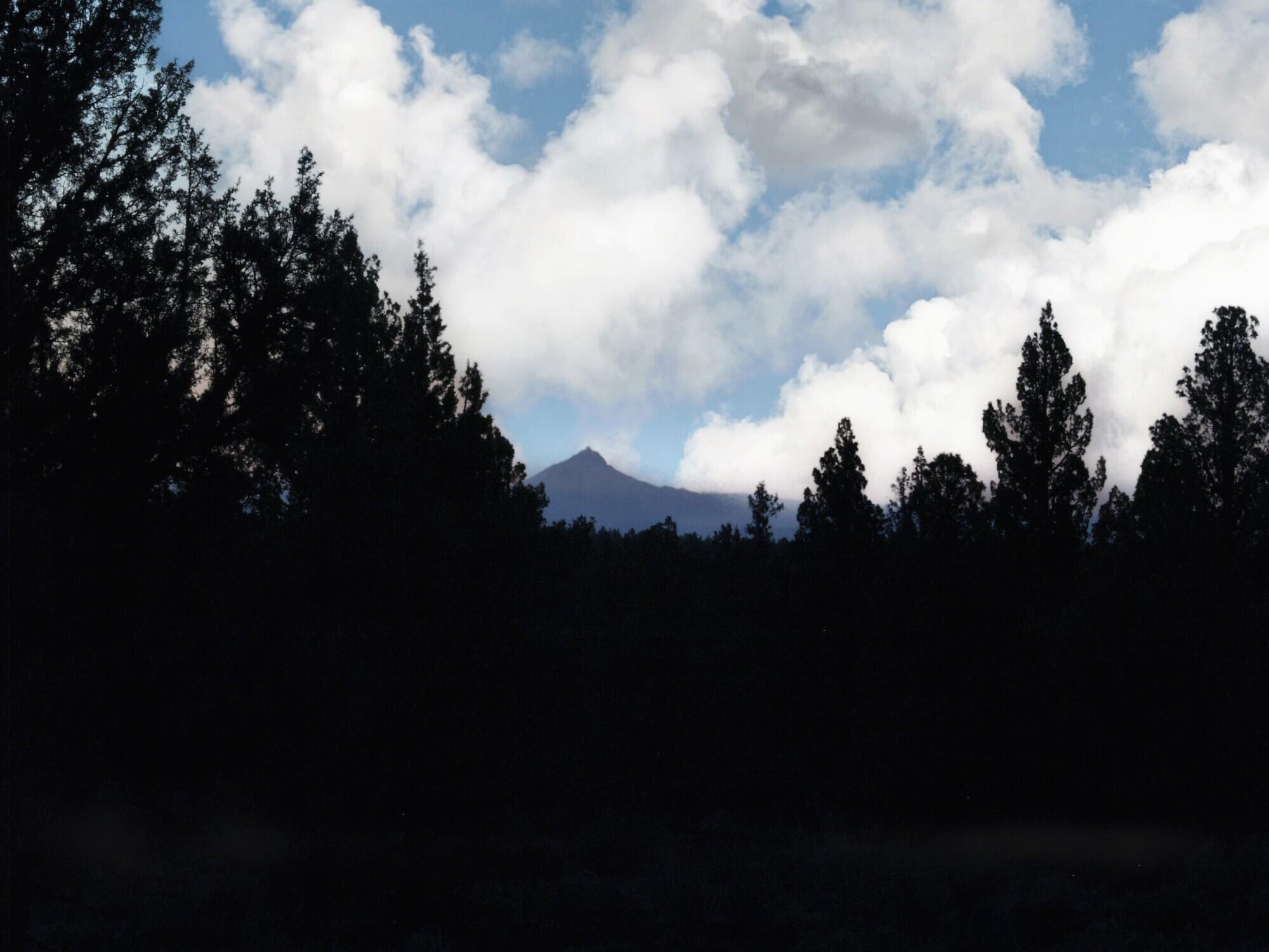 McElroy Estates - Residential