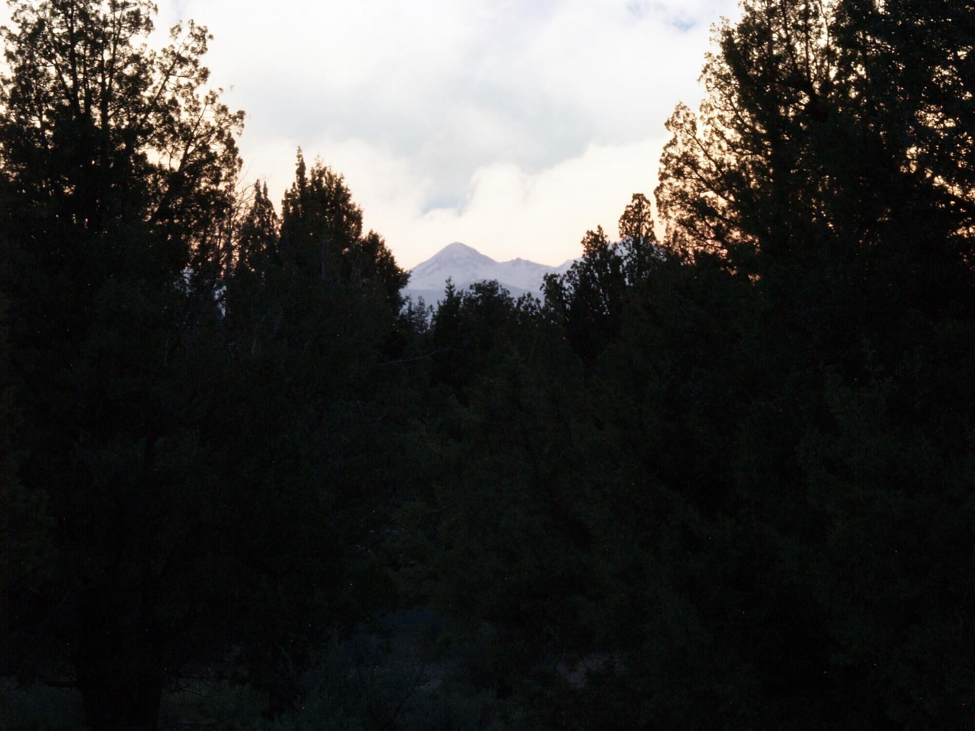 McElroy Estates - Residential