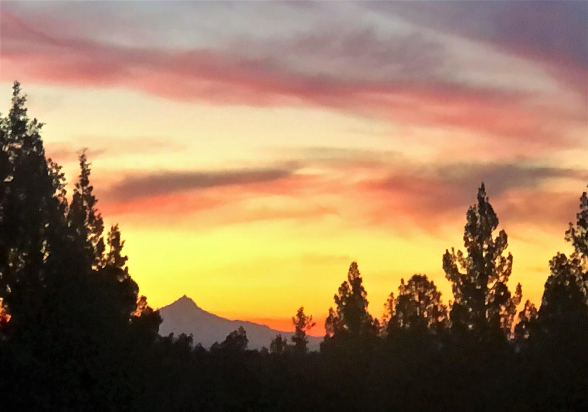 McElroy Estates - Residential