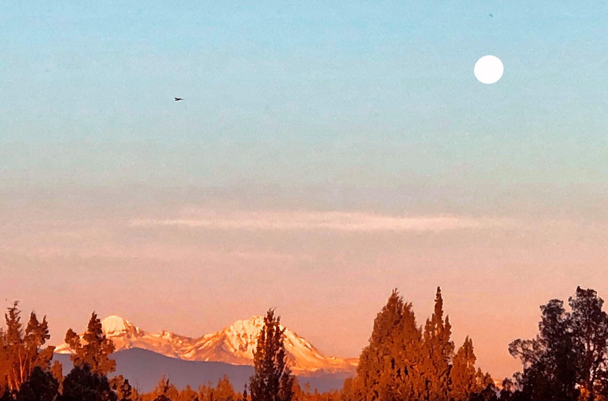 McElroy Estates - Residential